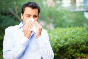 Man in blue shirt experiencing seasonal allergies and blowing his nose amid spring greenery